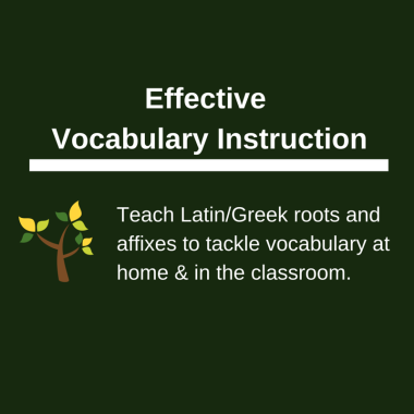 Effective Vocabulary Instruction
